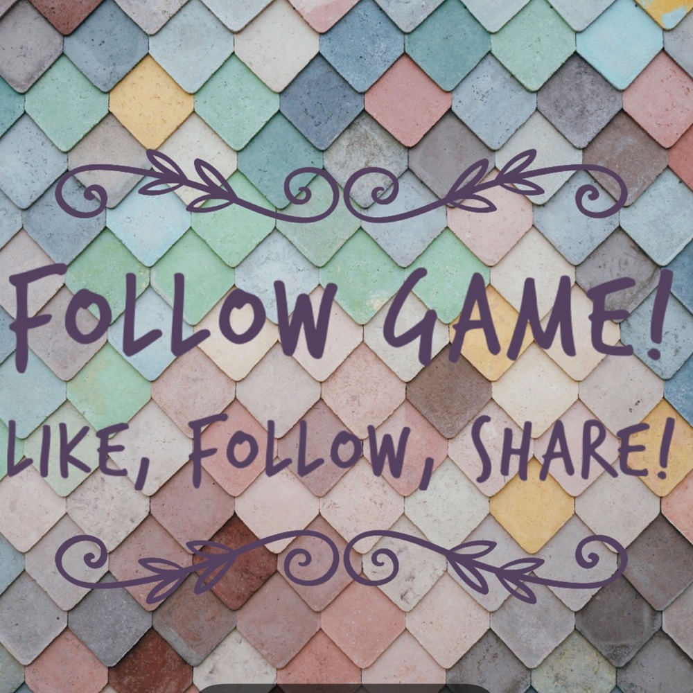 Follow Game! - Picture 3 of 4